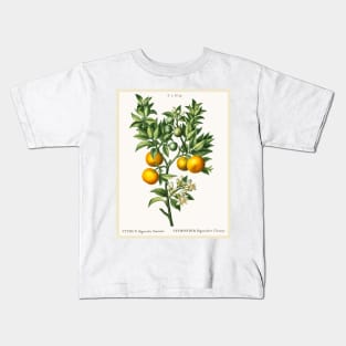 Bitter Sweet Oranges on a Branch Kids T-Shirt